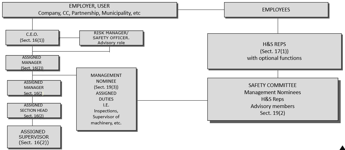 Organisational structure used in the SHE Representative course